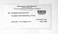 Image Associated With the Occurence